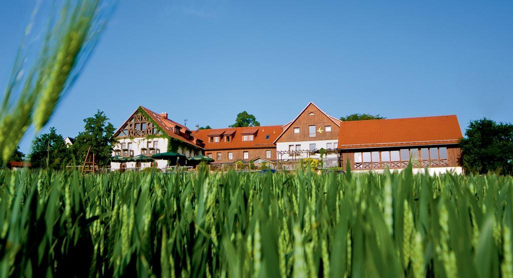 Hotel Neue Hoehe Klingenberg Exterior photo